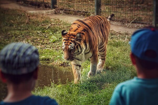 Tierpark Gotha / KulTourStadt Gotha